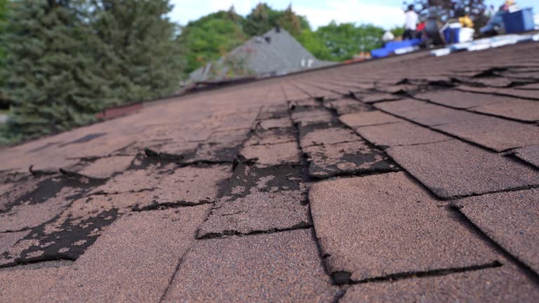 Best Roof Coating and Sealing  in Karnes City, TX